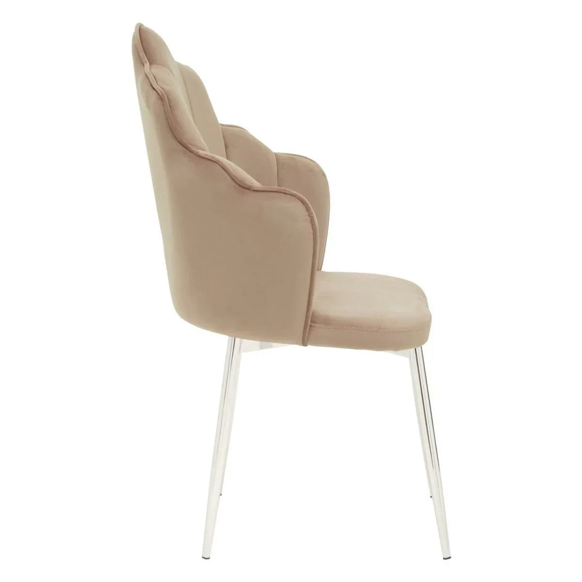 Beige velvet dining chair with scalloped backrest and clear tapered legs, side view