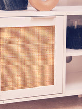 Coastal Rattan Media Storage