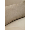 Luxe Velvet Sofa Bed