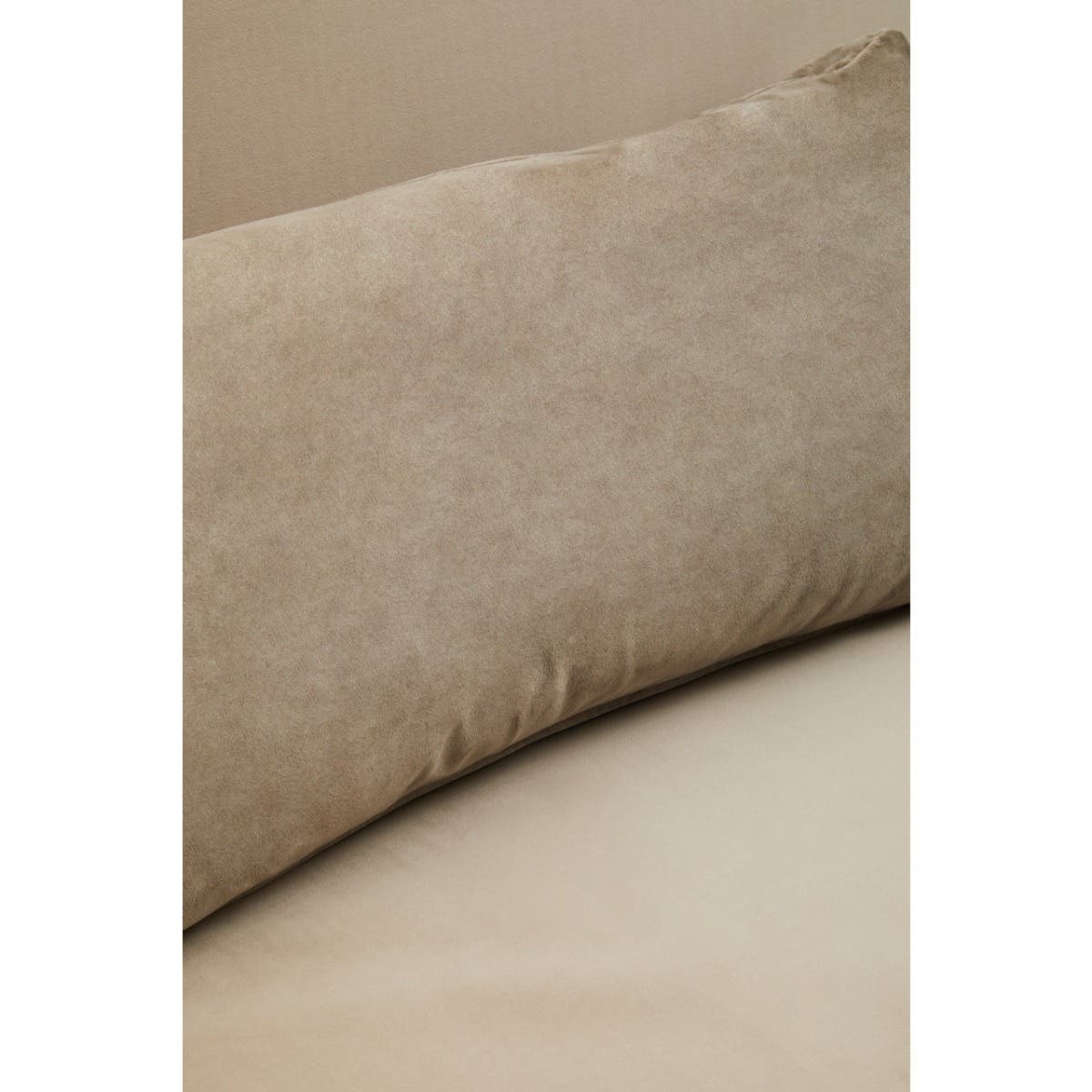 Luxe Velvet Sofa Bed