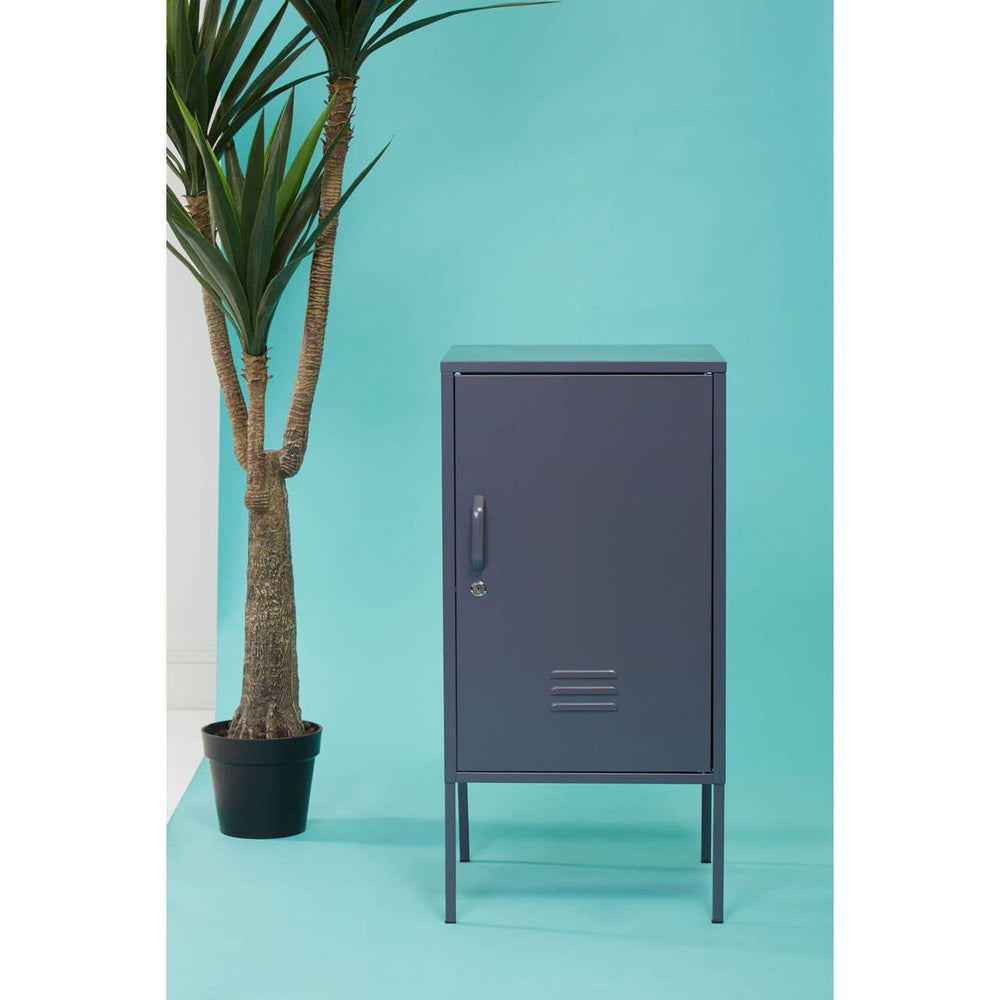 Grey one-door locker cabinet with a sleek design, featuring a flat front and a minimalist handle, positioned against a vibrant turquoise wall. A tall potted plant is visible to the left, adding a touch of greenery to the scene. The cabinet stands on slender legs, enhancing its modern aesthetic