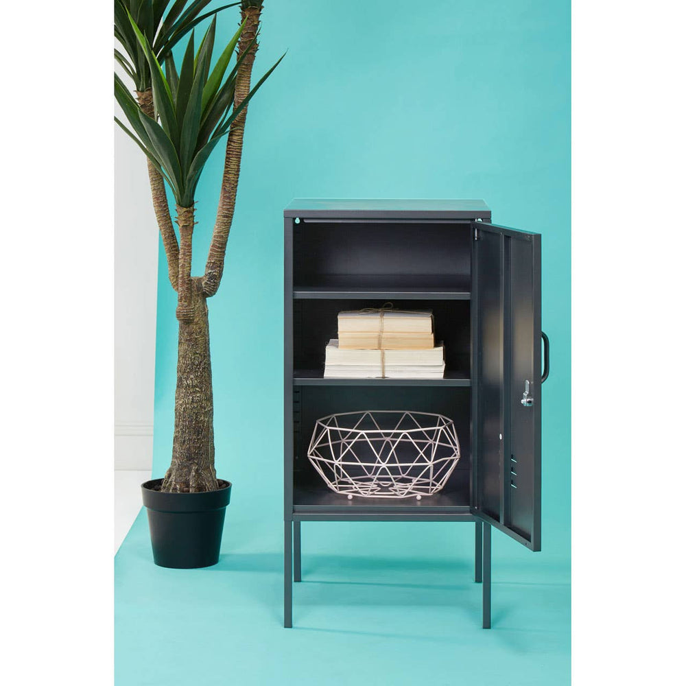 Grey one-door locker cabinet with an open door, revealing two shelves and a woven basket inside. The cabinet stands on four legs against a bright turquoise background, next to a tall potted plant