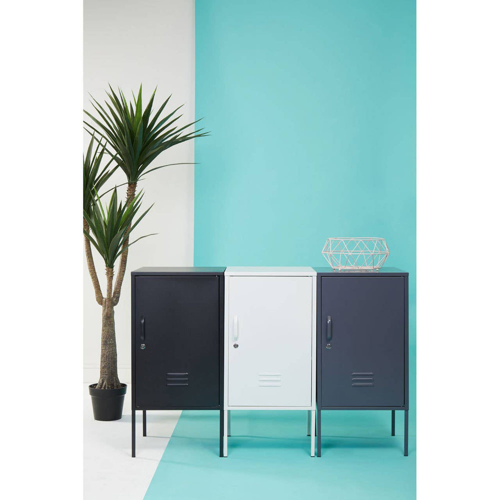 A grey one-door locker cabinet with a sleek design, positioned against a turquoise wall. The cabinet features a single door and stands on metal legs. A potted palm plant is visible to the left of the cabinet, adding a touch of greenery to the scene