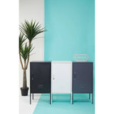 A grey one-door locker cabinet with a sleek design, positioned against a turquoise wall. The cabinet features a single door and stands on metal legs. A potted palm plant is visible to the left of the cabinet, adding a touch of greenery to the scene