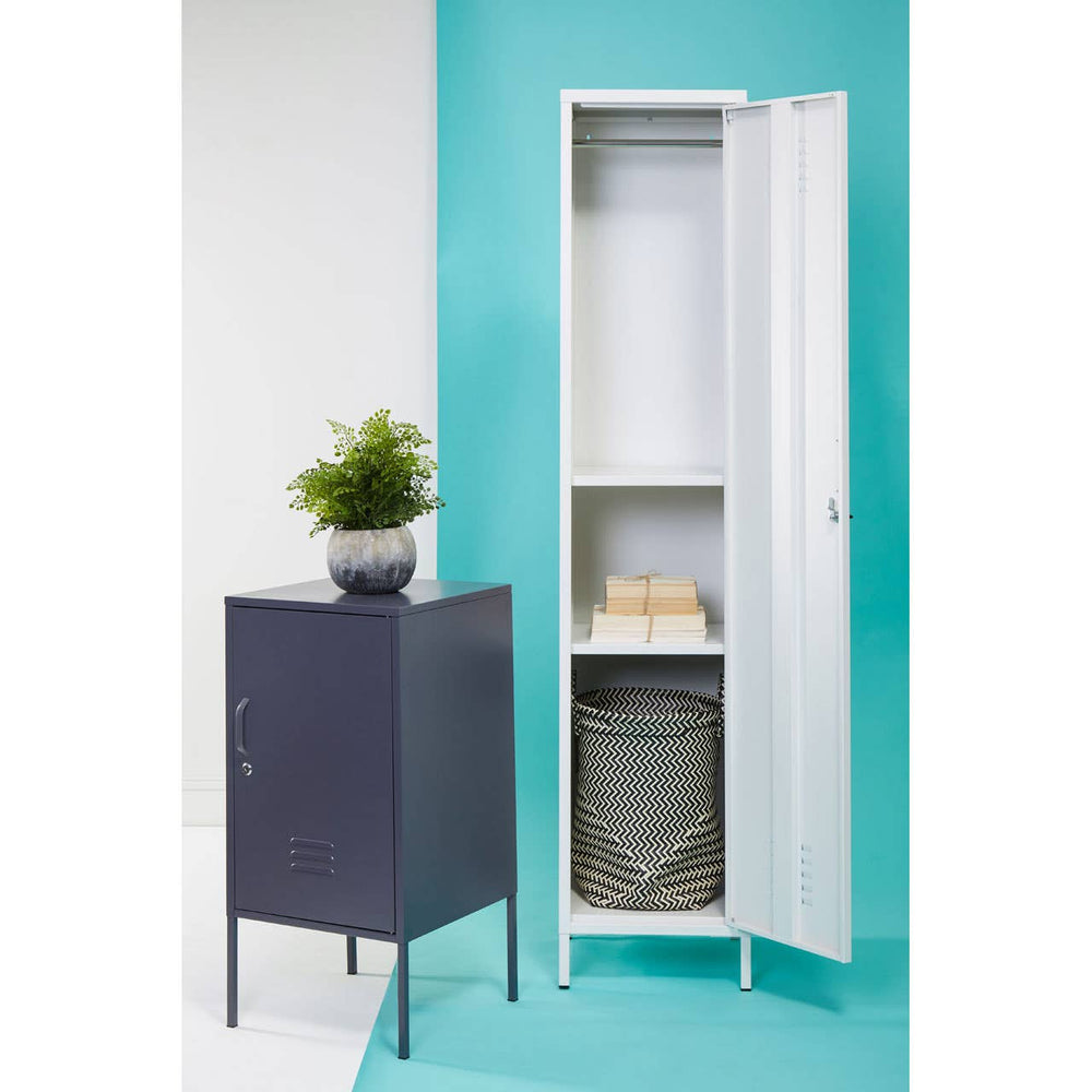 A tall, grey one-door locker cabinet with a sleek design, featuring an open door revealing two shelves inside. Next to it, a smaller dark grey cabinet with a closed door and a potted plant on top, set against a vibrant turquoise background