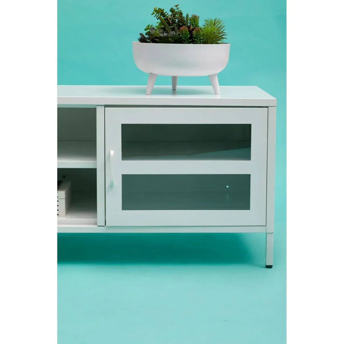 White metal TV unit with glass door, open shelf and potted succulent on top