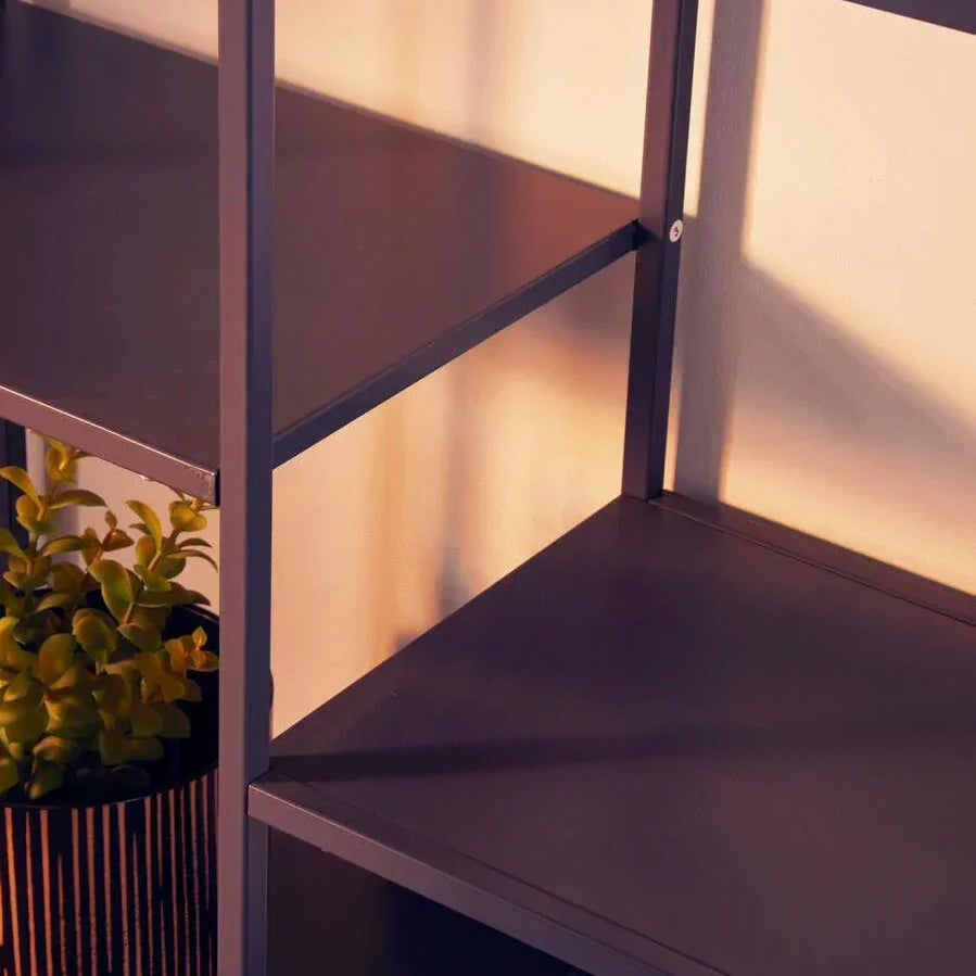 Black metal shelving unit with minimalist shelves and potted plant on lower shelf