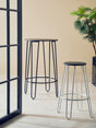 Two bar stools with a white finish metal frame are positioned in a bright room. One stool is taller, while the other is shorter, both featuring a simple, modern design. A green plant is visible in the background, and the floor has a light-colored finish. A black-framed window is partially visible on the left side of the image