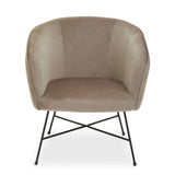 Luxe Velvet Accent Chair
