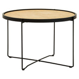 Rattan & Metal Coffee Table