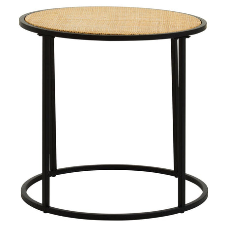 Rattan Metal Side Table