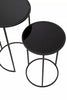 Black Mirrored Plant Stand Set