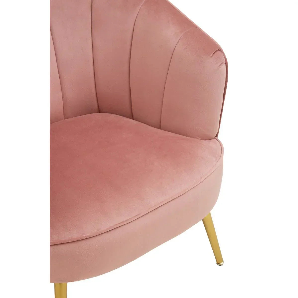 Blush pink velvet accent chair with scalloped back and gold metal legs