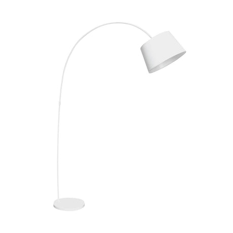 Sleek Arched Metal Floor Lamp