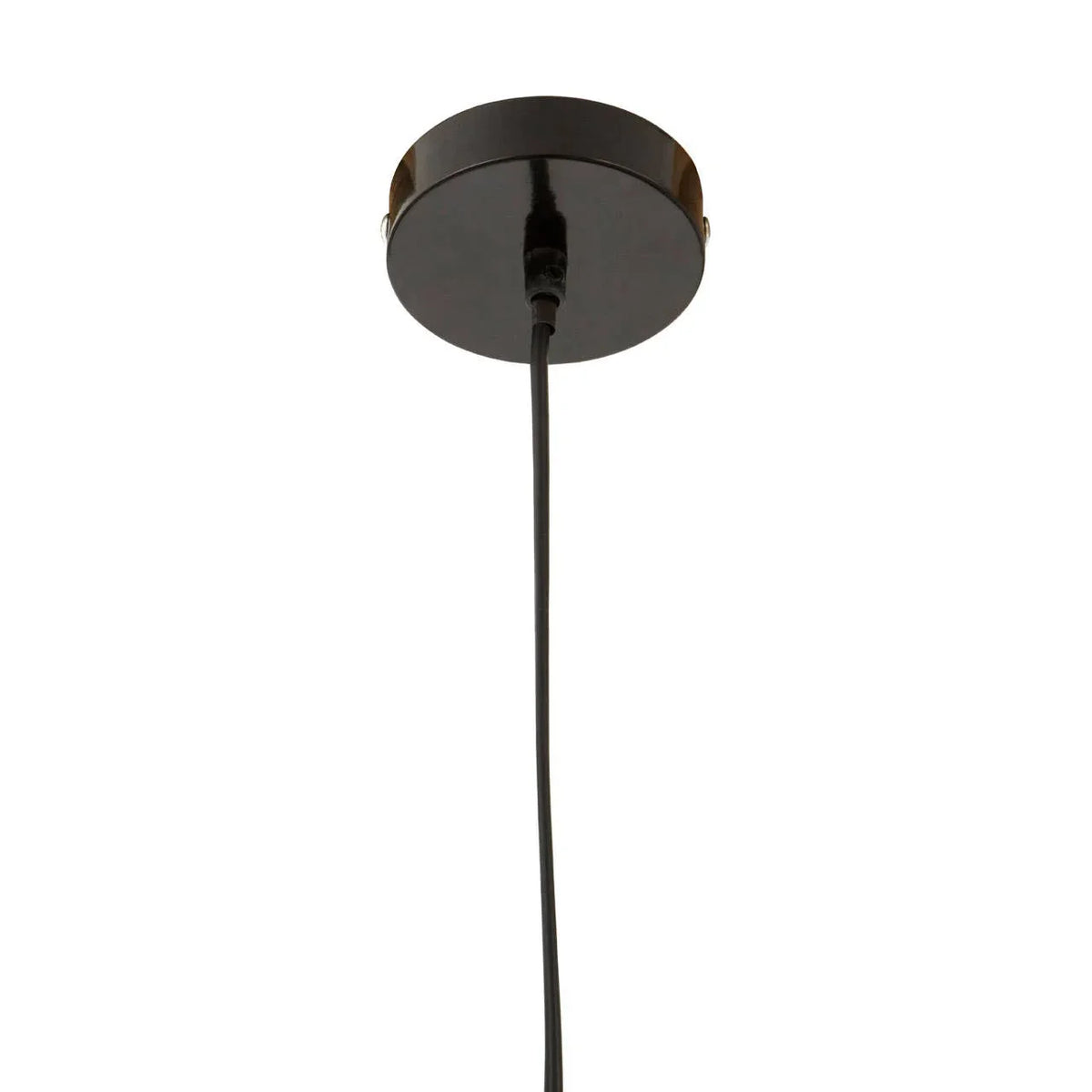 Black metal ceiling rose with hanging cable for pendant light