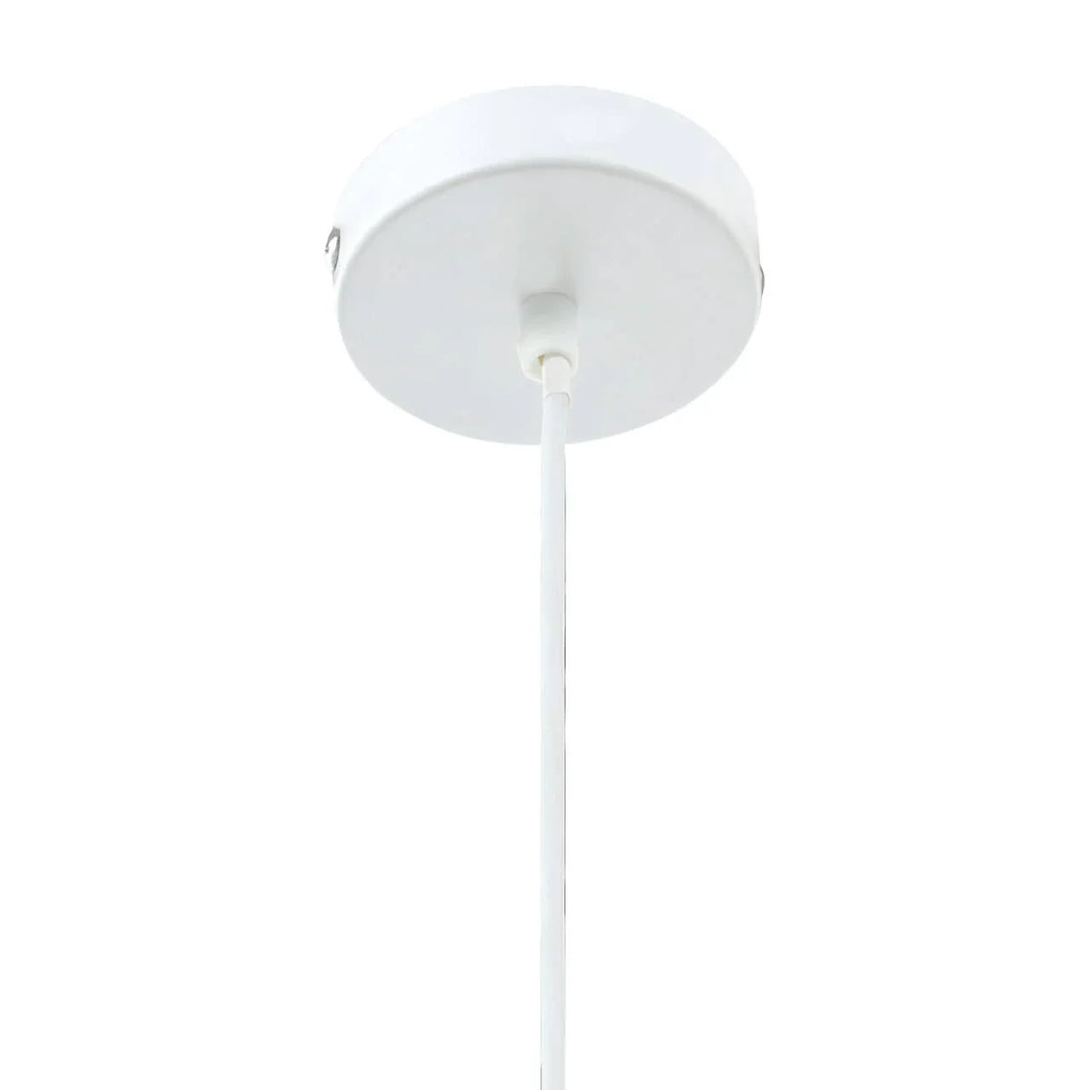 White pendant light ceiling rose with cable, close-up view of modern fixture mount