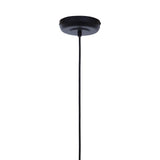 Black pendant light ceiling rose with cable, closeup against white background