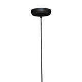 Sleek Teardrop Pendant Light