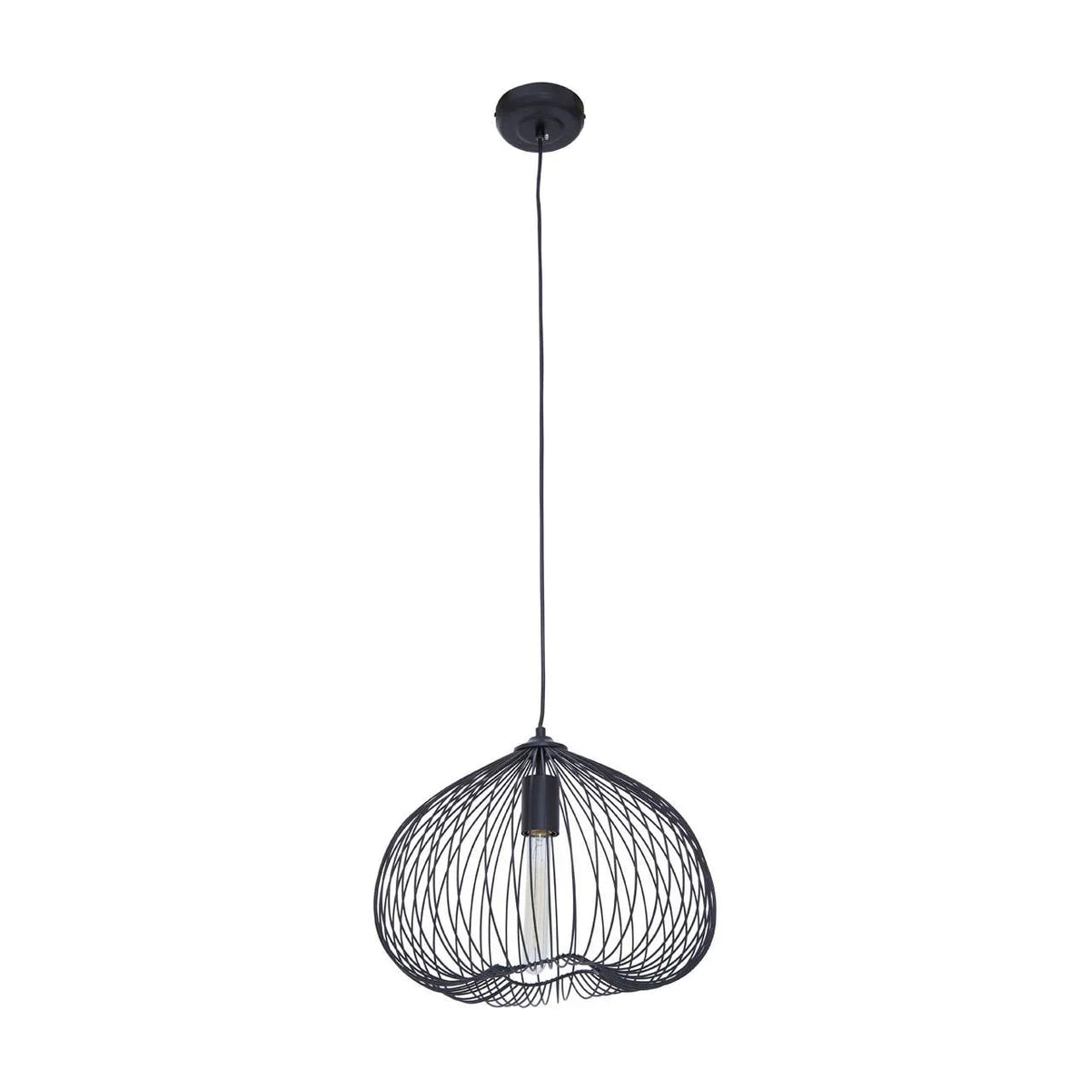 Black metal wire pendant light with exposed bulb and curved shade design