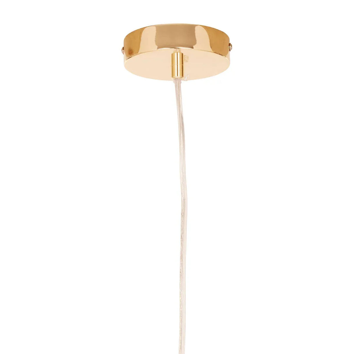 Brass ceiling canopy with clear pendant light cable suspended vertically