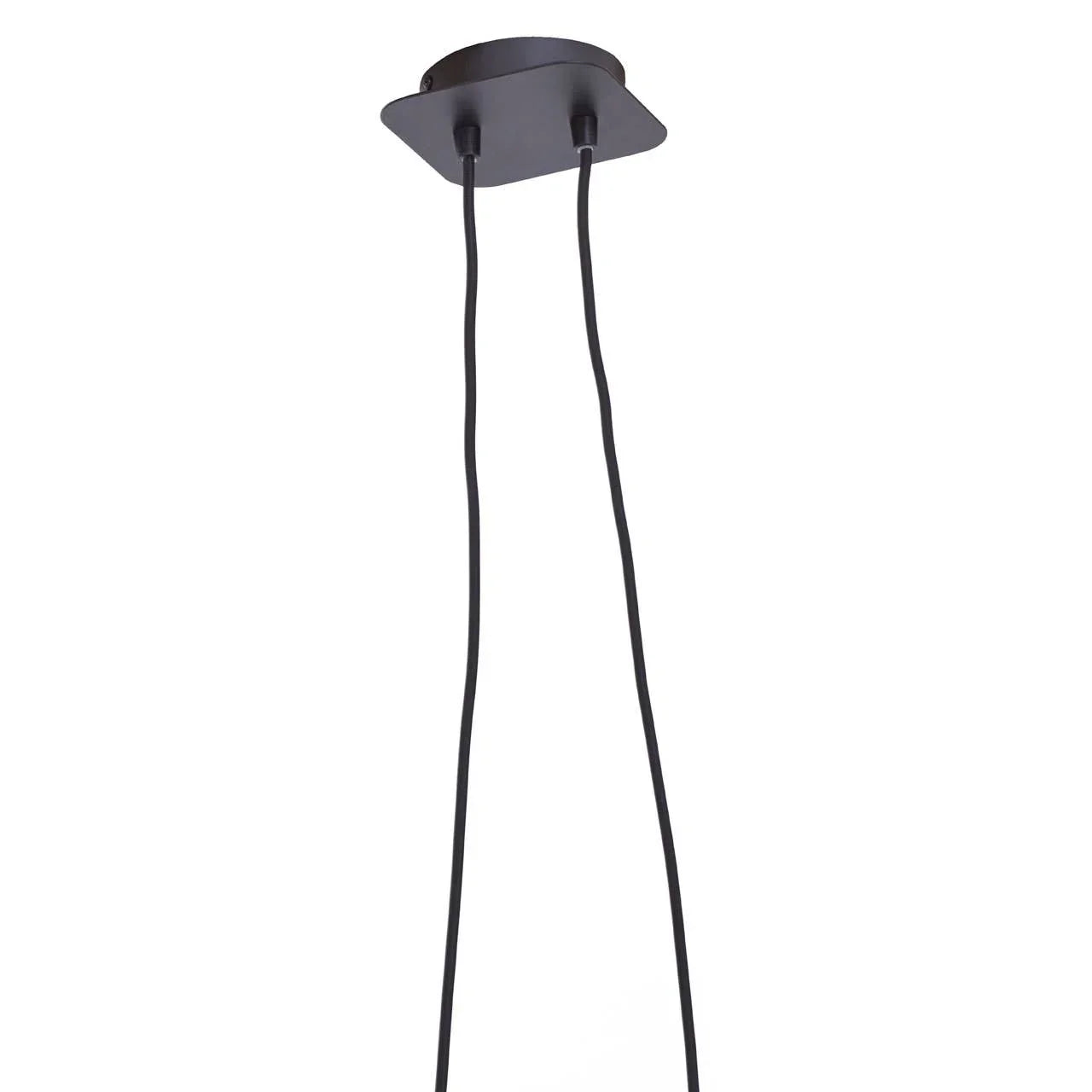 Black pendant light ceiling rose with dual hanging cables