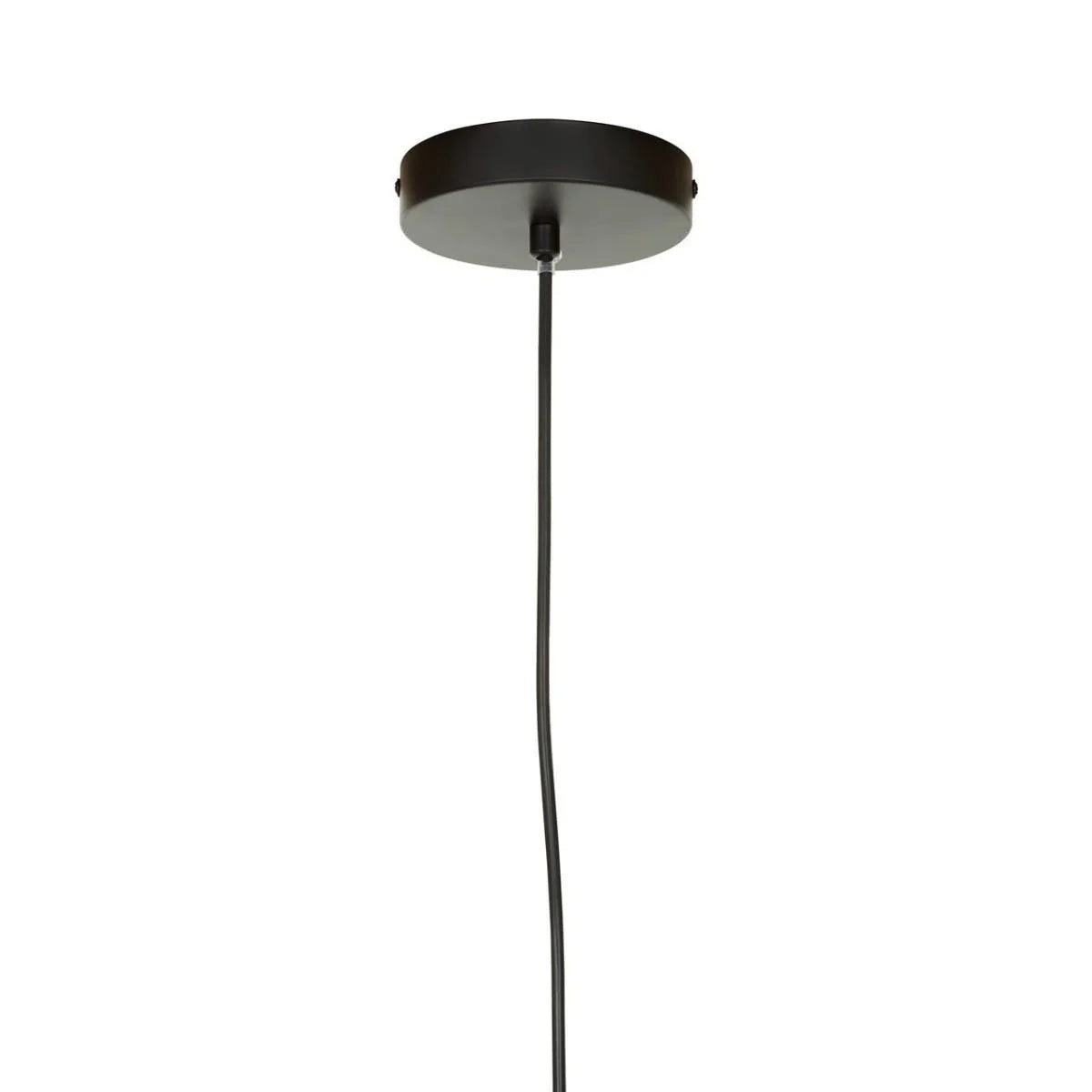 Black metal ceiling rose with pendant light cable for modern lighting fixture
