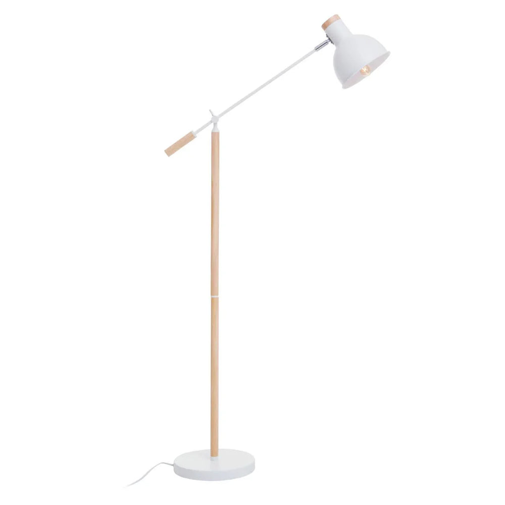 Modern Adjustable Floor Lamp