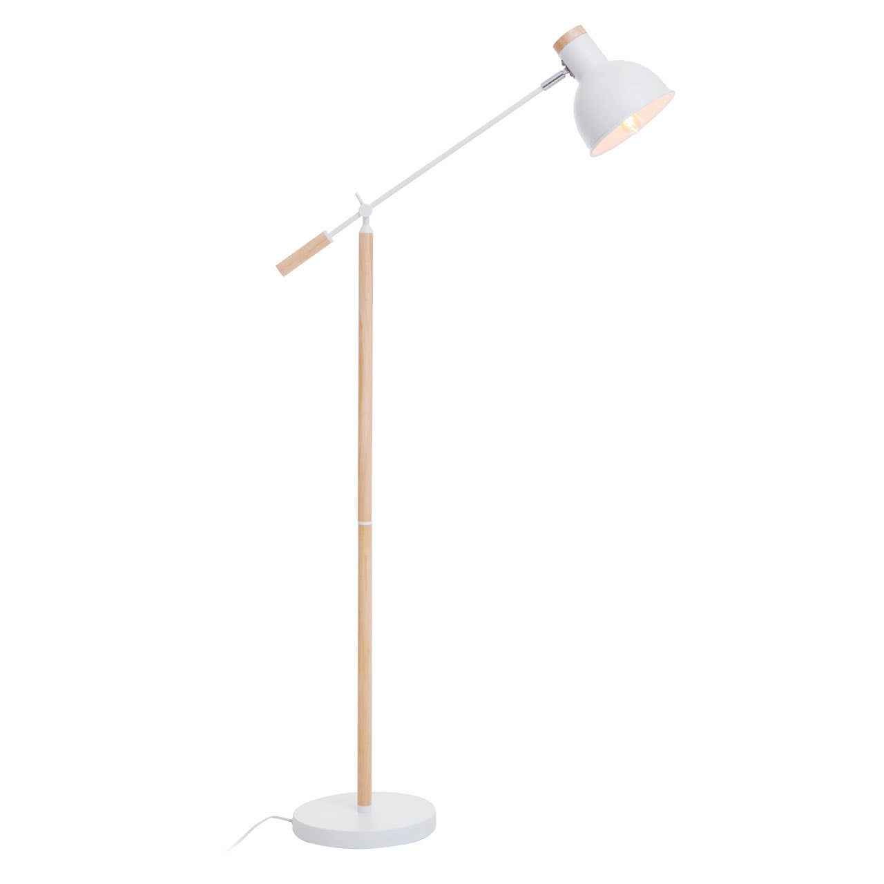 Modern Adjustable Floor Lamp