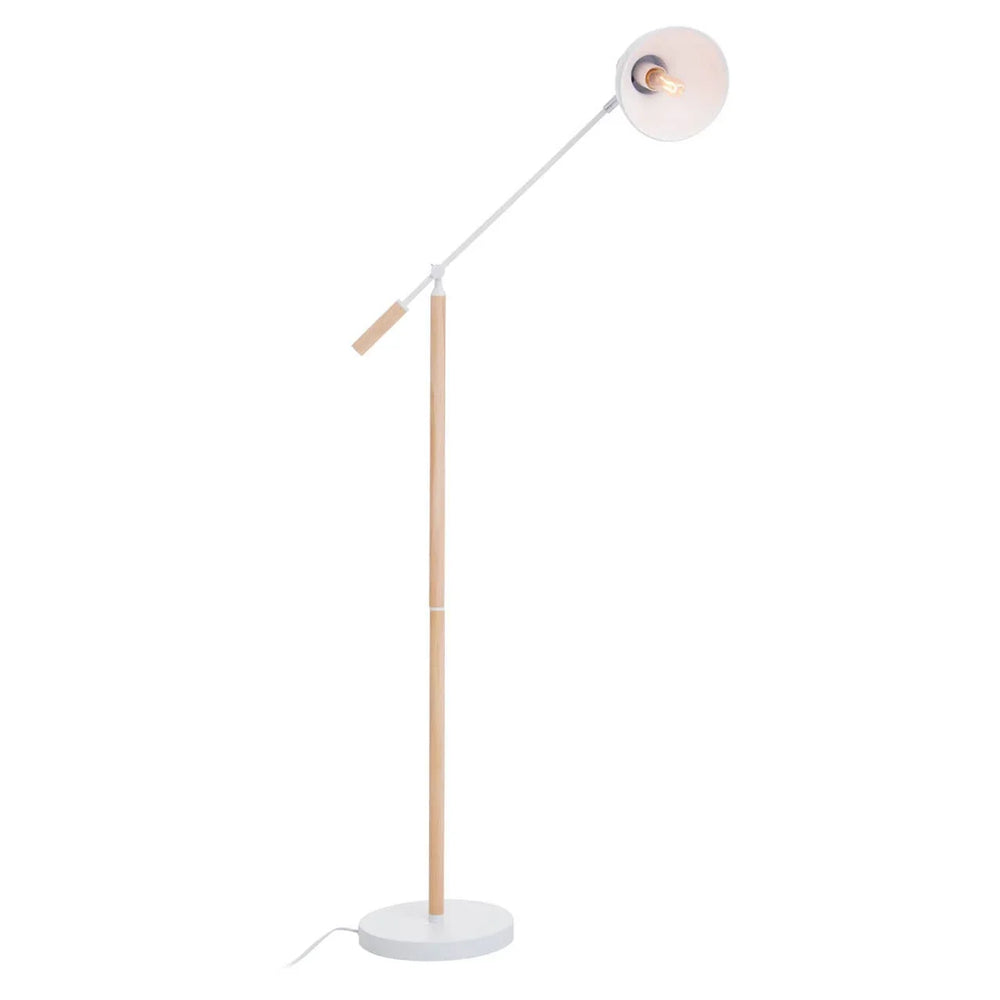 Modern Adjustable Floor Lamp