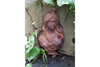 Bust Wall Decoration (Rusty) - 2771