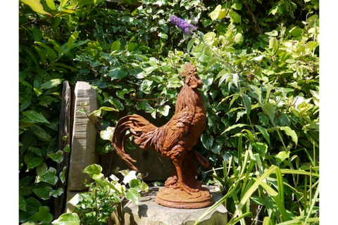 Cockerel (LG/Rusty) 2821 - 2821