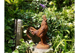 Cockerel (LG/Rusty) 2821 - 2821