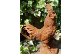 Cockerel (LG/Rusty) 2821 - 2821