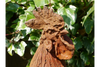 Cockerel (LG/Rusty) 2821 - 2821