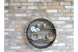 Circle Shelves - 4463