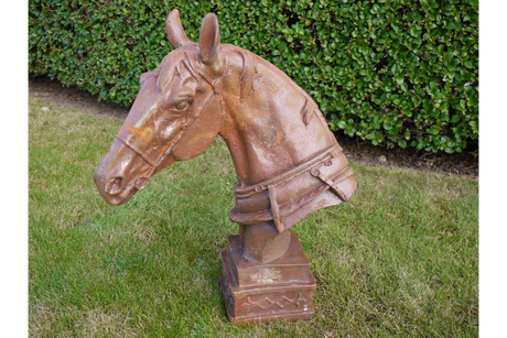 Horse Head - 4647