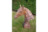 Horse Head - 4647