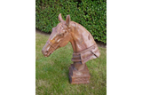 Horse Head - 4647