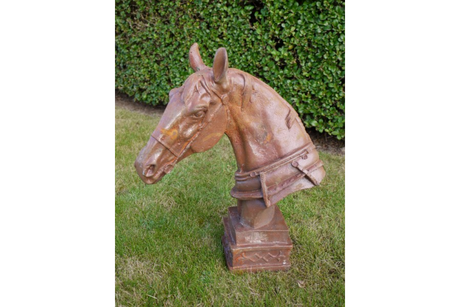Horse Head - 4647