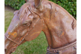 Horse Head - 4647