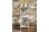Decorative Ladder