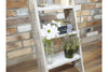 Decorative Ladder