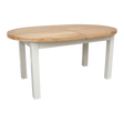 Painted Deluxe Oval table