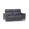 Anthony 2.5 Seater Graphite