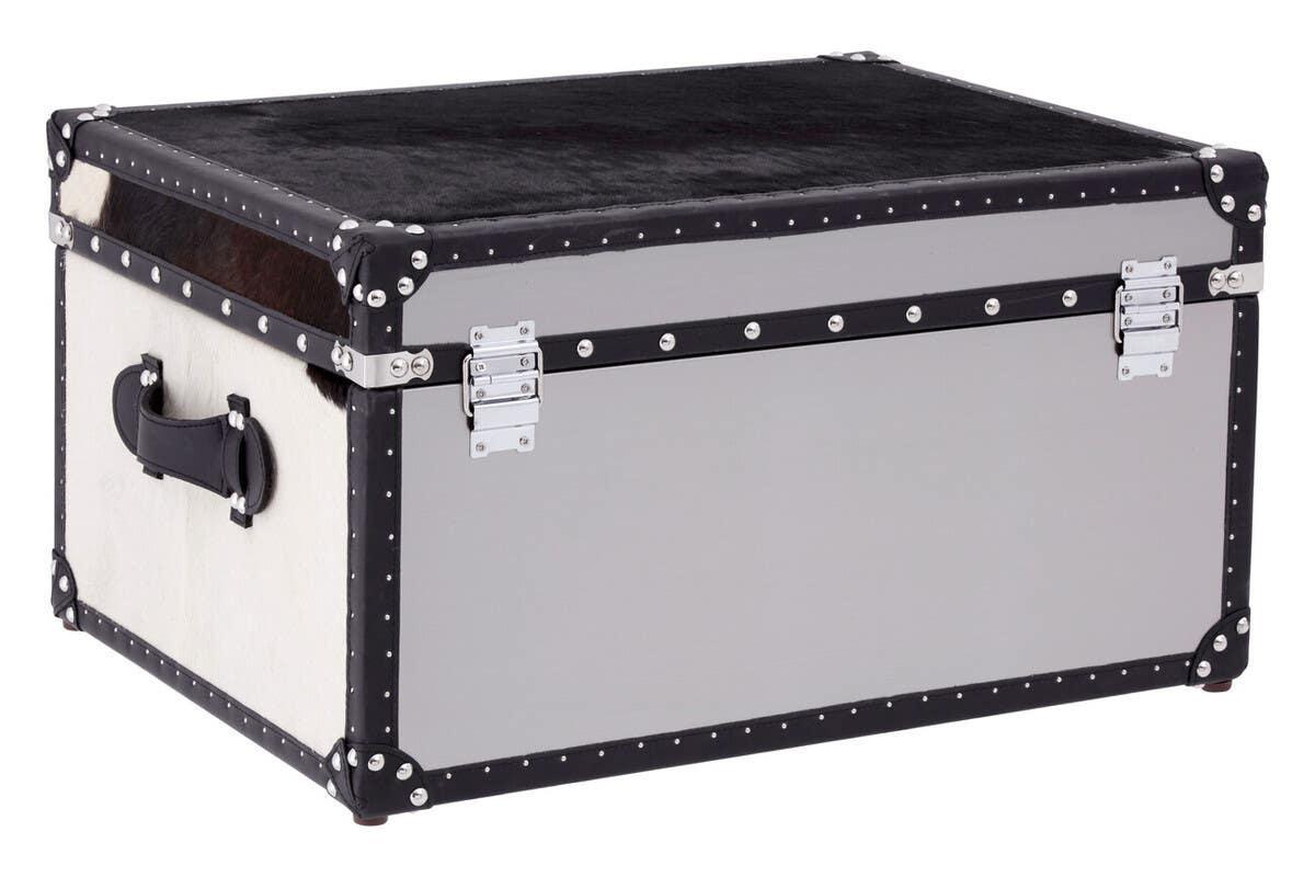 Silver trunk storage box with black trim and metal latches, angled front view