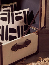 Luxe Cowhide Storage Trunk
