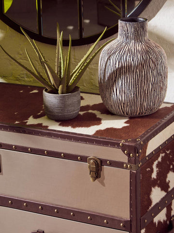 Brown and white cowhide cabinet featuring decorative metal accents, with a textured surface and a latch closure. A small potted plant and a textured gray vase are placed on top, adding a touch of greenery and style to the scene