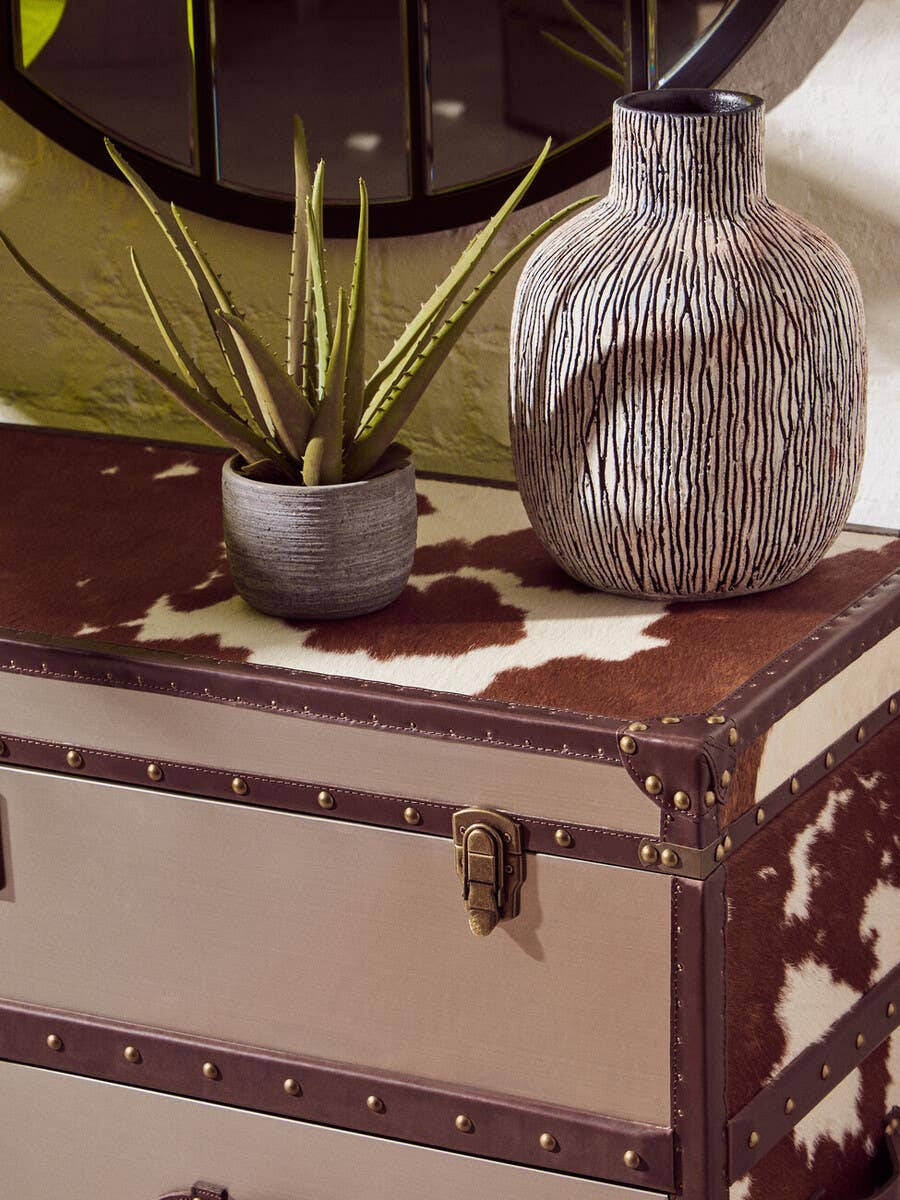 Brown and white cowhide cabinet featuring decorative metal accents, with a textured surface and a latch closure. A small potted plant and a textured gray vase are placed on top, adding a touch of greenery and style to the scene