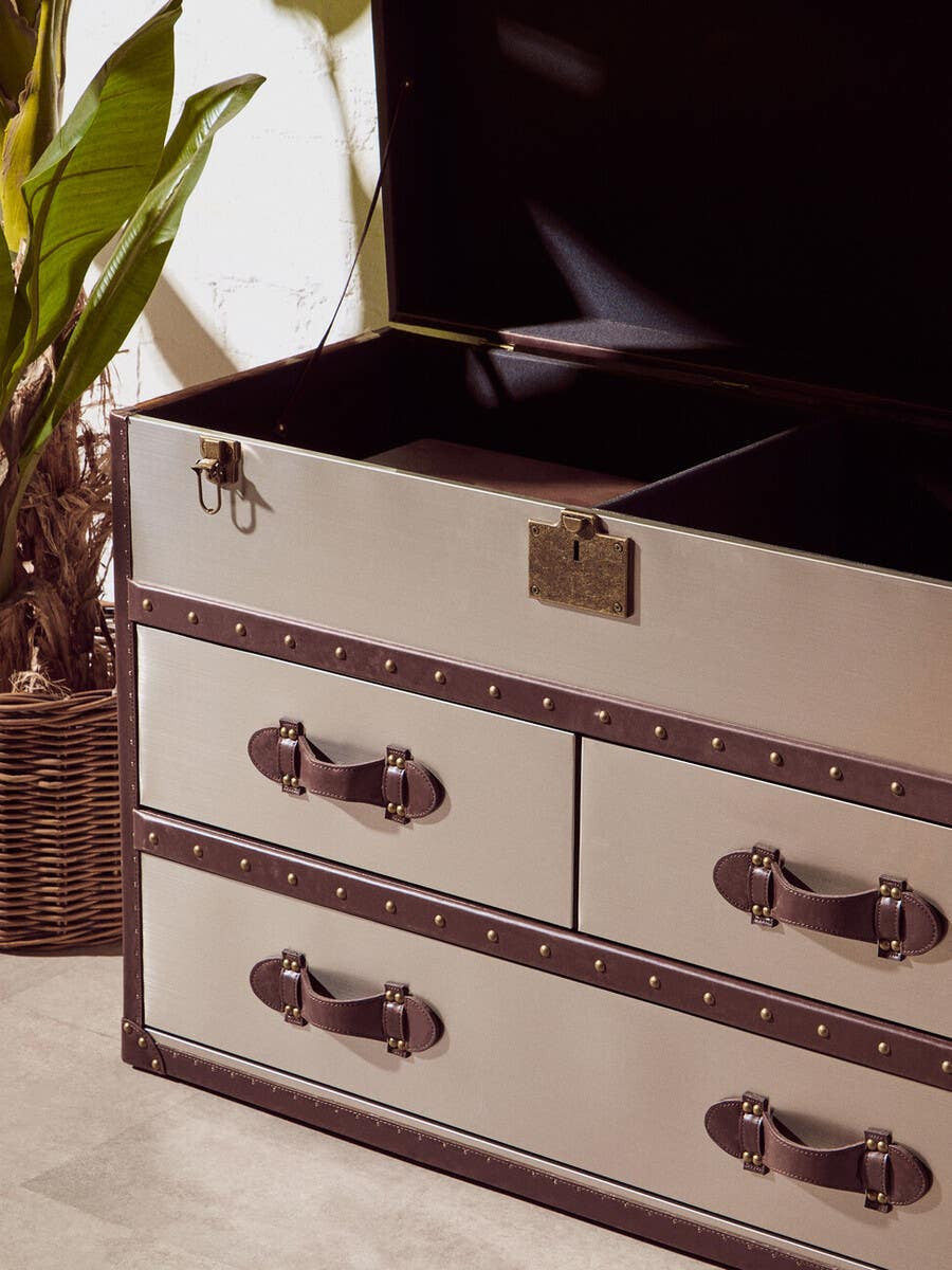 Brown and white cowhide cabinet featuring two drawers with ornate metal handles, a sleek top surface, and a lockable lid, set against a light-colored background with a hint of greenery in the corner