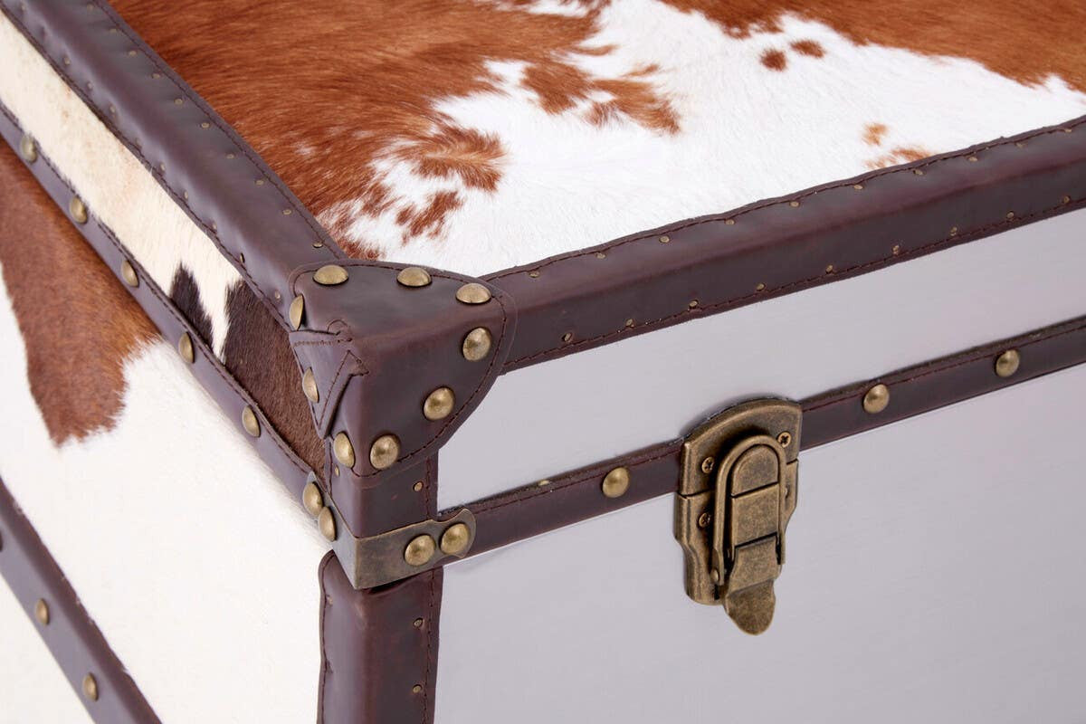 The Kensington Townhouse Brown and White Cowhide Cabinet features a textured surface with a mix of brown and white cowhide, accented by a sturdy brown frame and brass hardware. The corners are reinforced with decorative studs, highlighting the cabinet's rustic charm